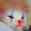 Clown Cat clowncat Discord Emoji