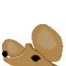 ratl