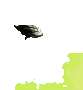 destruction