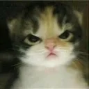 emoji_2