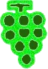 grapes