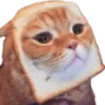 breadcat breadcat