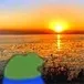 peeposunset peeposunset