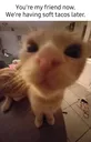 frienow