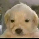 4aa061b6b2cb40dbf033fb651865bfff