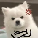 03017496ba28d856dd9d7eaefa92ca88