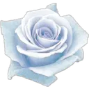 5bluerose Discord Emoji