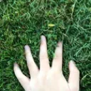touchgrass