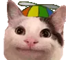 politecat politecat