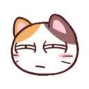 cat3_wtf