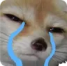 Crying Fox Discord Emoji