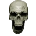 Skull12342348725712367458edwfgh