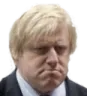 Boris Sad Discord Emoji