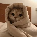 sab_moh_maya sab_moh_maya