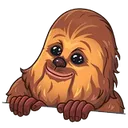 bacca