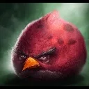 angry_bardo angry_bardo