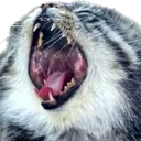 AAAAAAAAAAA AAAAAAAAAAA