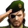 Salute