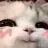 catto_smug
