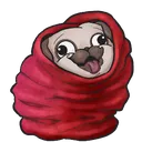 SnugPug SnugPug