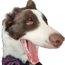 omE