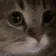 meow