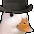 howdyduck howdyduck