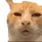 HUH
