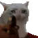 CatGun