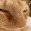 catHmm