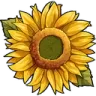 flower_humilde flower_humilde