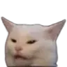 confusedCat