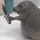 sealknife