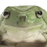 frog_nod
