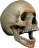 skullvahui