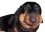 erm1