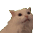 catgifscream91 Discord Emoji