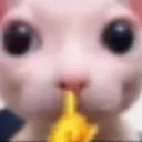 shh