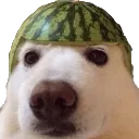 emoji_500