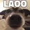LAOO