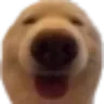 dreamy10_doggo