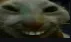 xdd