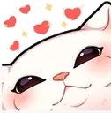 cute_cat
