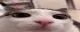 plink
