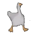 dancinggoose