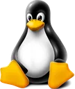 linux