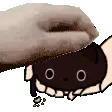 shiro_pat