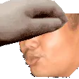 jomie_pet