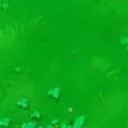 lawn