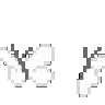 R_4butterfly